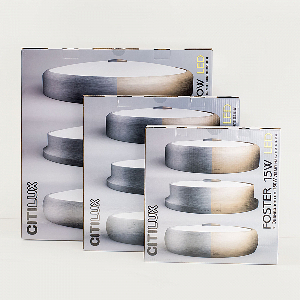 Светильник потолочный Фостер-2 CL706220