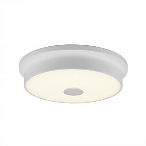 Светильник потолочный Фостер-2 CL706220