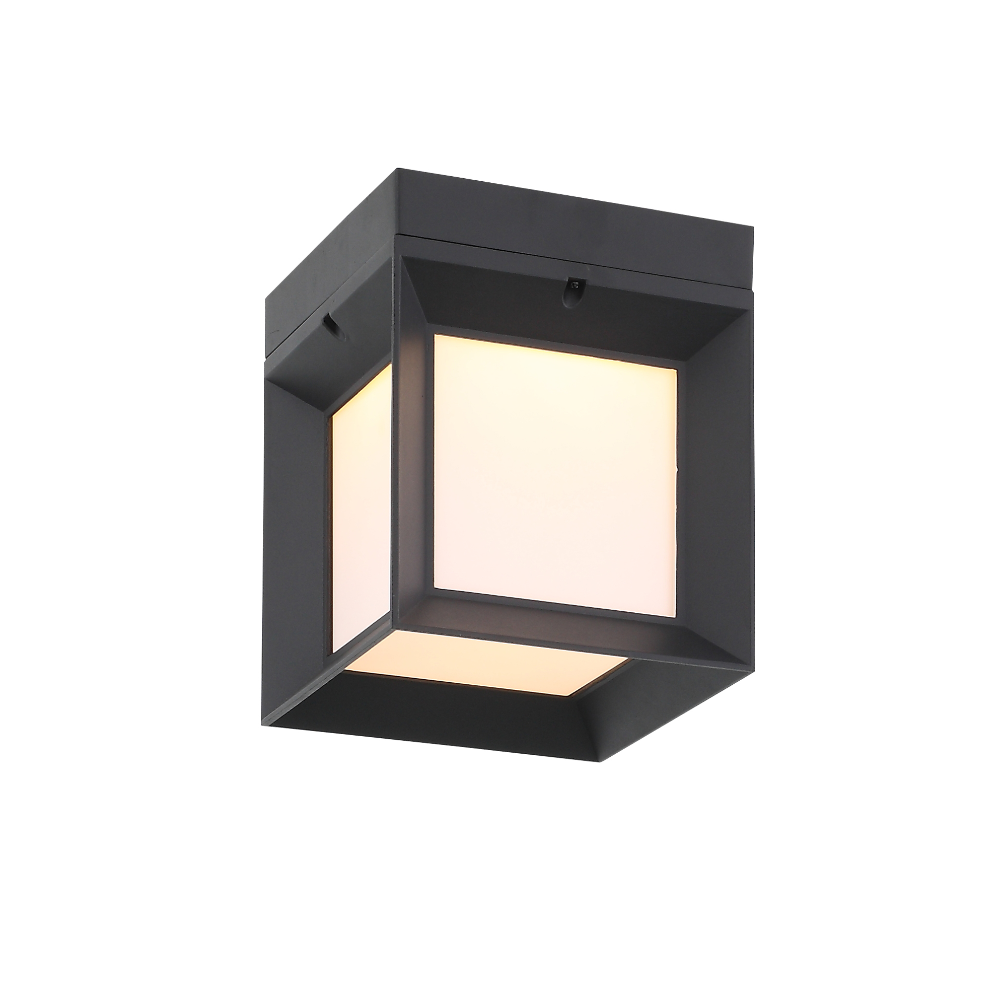 Cubista