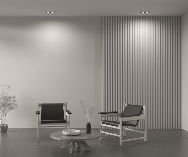 Карданный светильник Metal DL008-2-02-W