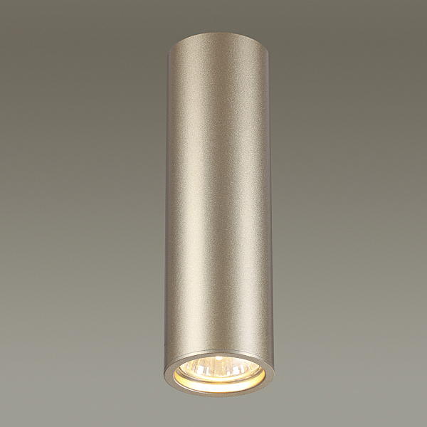 Накладной светильник Vincere 3828/1C