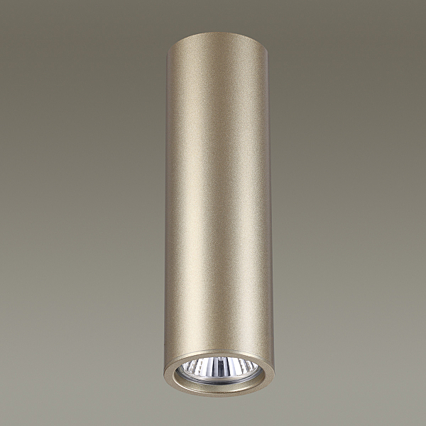 Накладной светильник Vincere 3828/1C