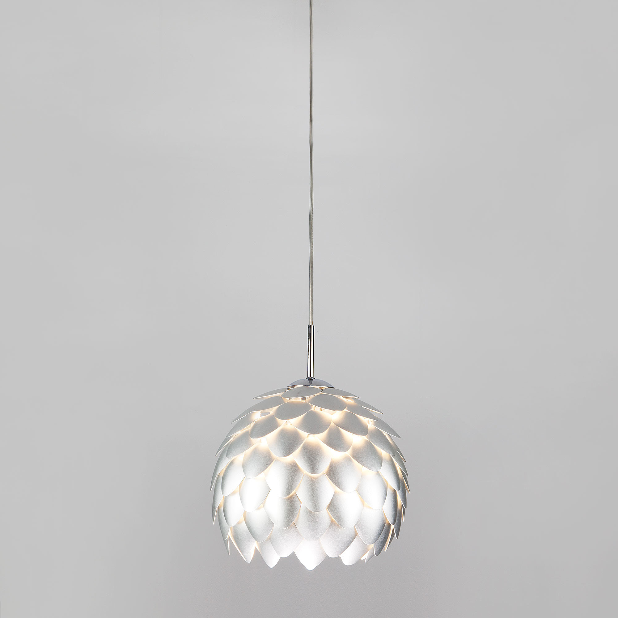 Cedro