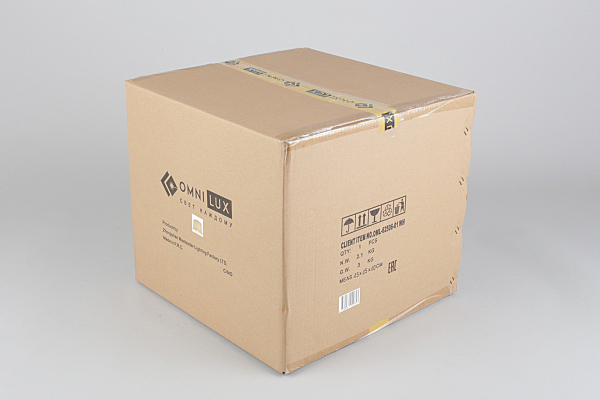 Светильник подвесной Correto OML-62506-01