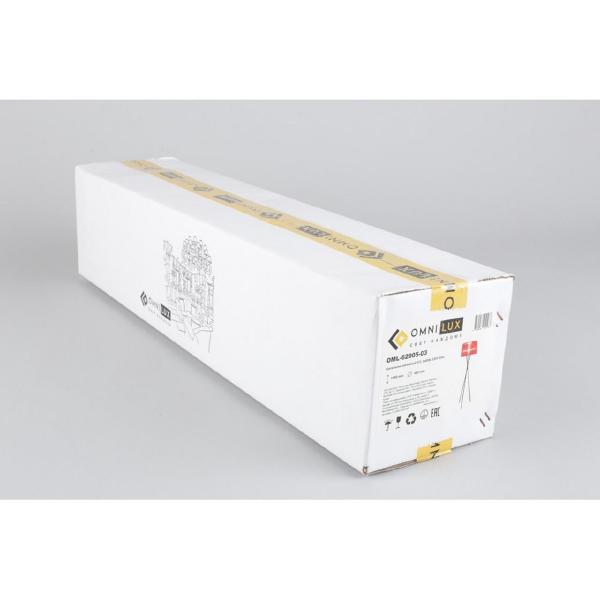 Торшер Fascia OML-62905-03