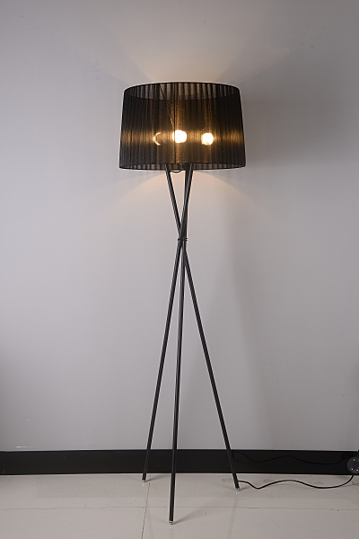 Торшер Fascia OML-62915-03