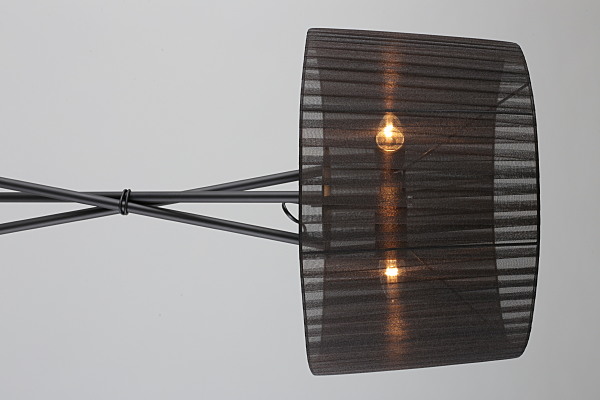 Торшер Fascia OML-62915-03