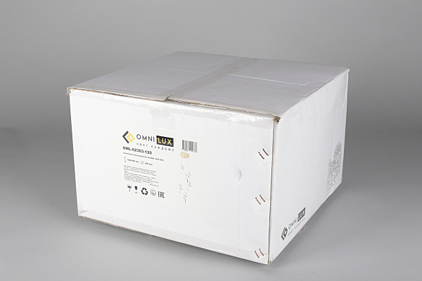 Светильник подвесной Bruggi OML-02303-120