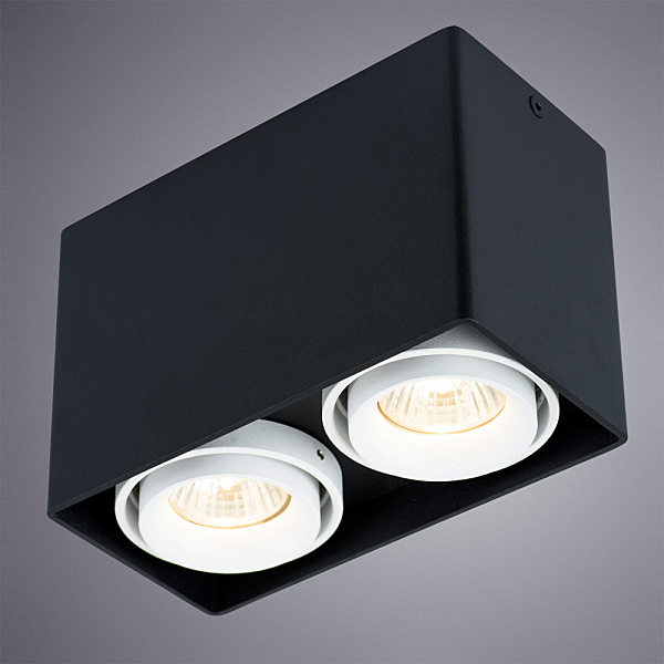 Накладной светильник Pictor A5655PL-2BK