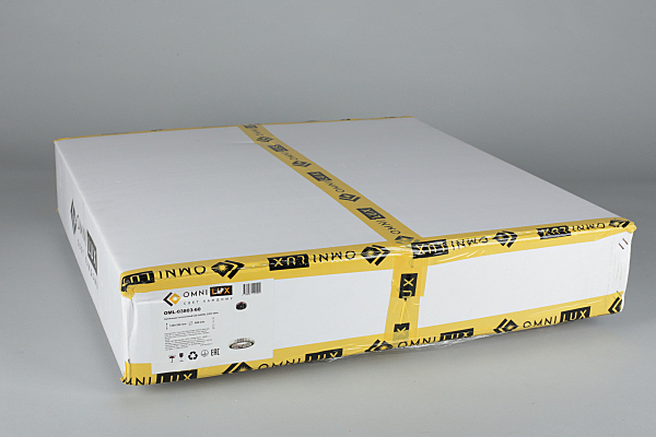 Подвесная люстра Arbora OML-03803-60