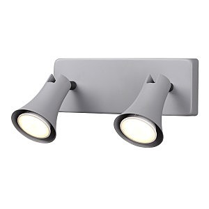 Светильник спот Reanna 3825/2W