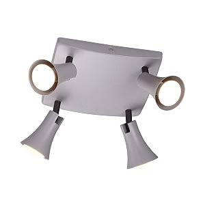 Светильник спот Reanna 3825/4C