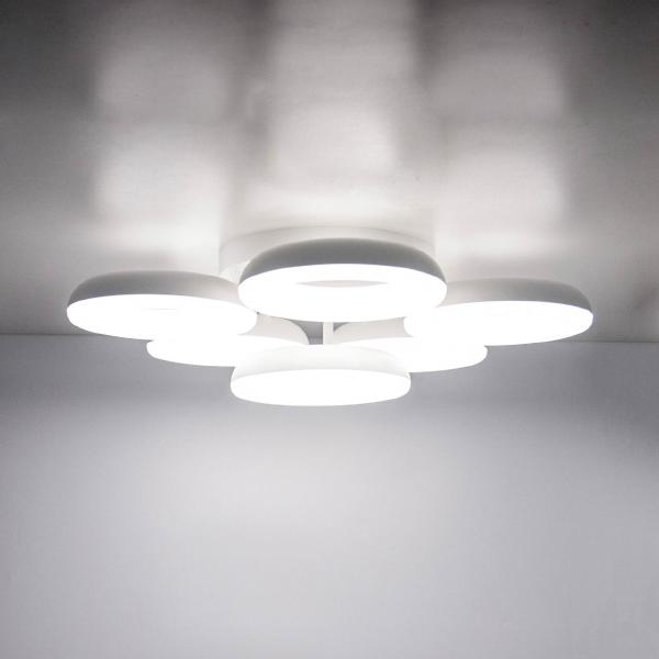 Потолочная люстра Паркер CL225160R