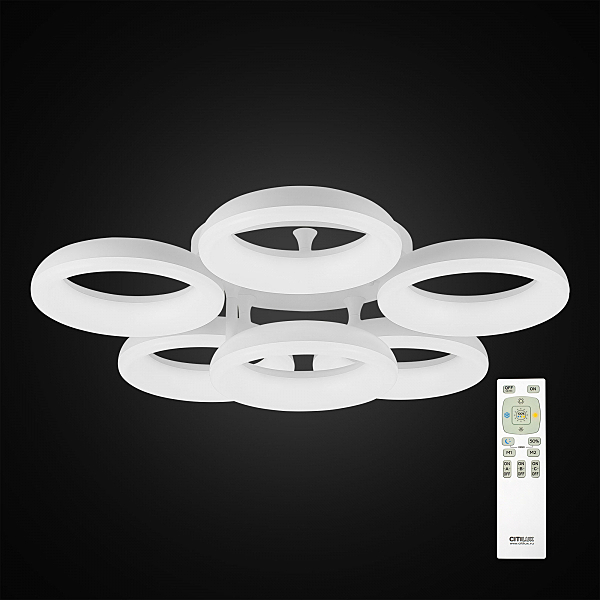 Потолочная люстра Паркер CL225160R