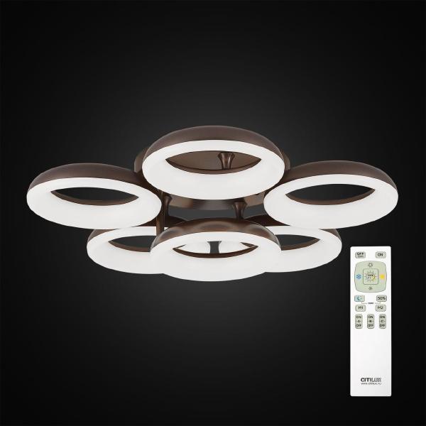 Потолочная люстра Паркер CL225165R