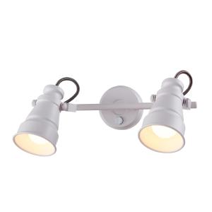 Светильник спот Бейкер CL541520