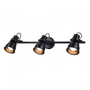 Светильник спот Бейкер CL541531