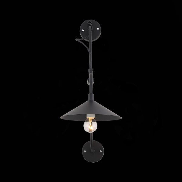 Настенное бра Sсarno SL265.401.01