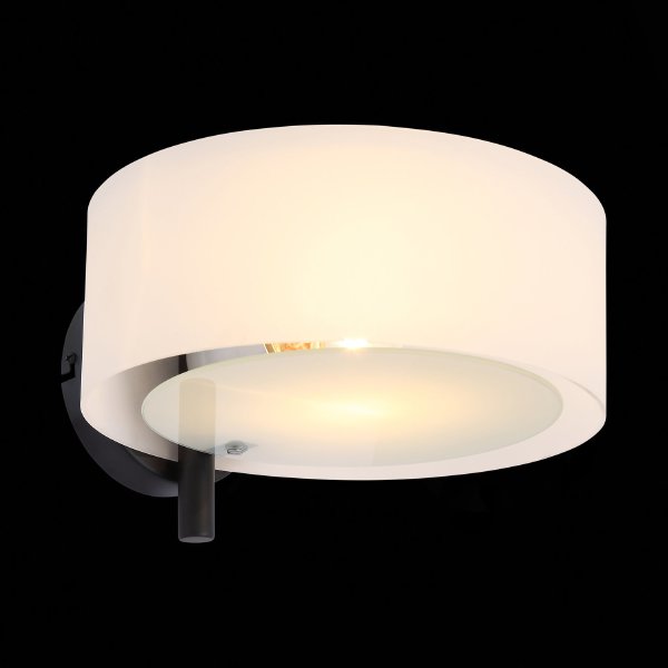 Настенное бра Foresta SL483.401.01