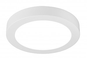 Светильник потолочный Paula 41605-24D