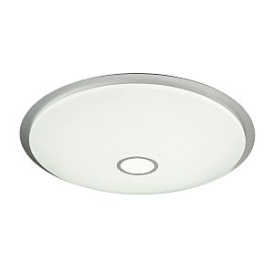 Светильник потолочный Rudi 48379-80