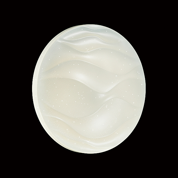 Настенно потолочный светильник Erica 2090/CL