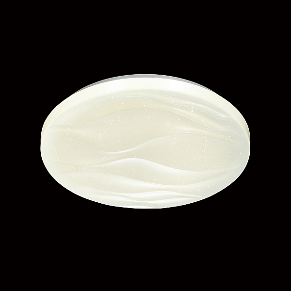 Настенно потолочный светильник Erica 2090/CL