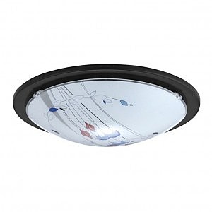 Настенно потолочный светильник Planet 4 Black 32125