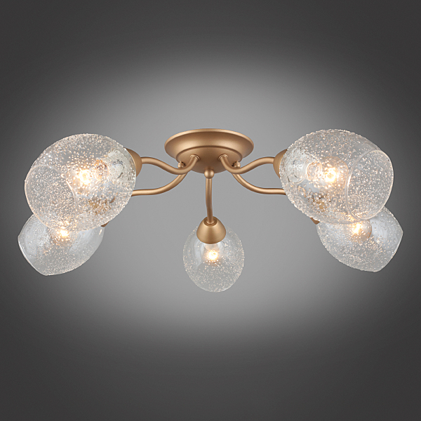 Потолочная люстра Miglionico OML-55507-05