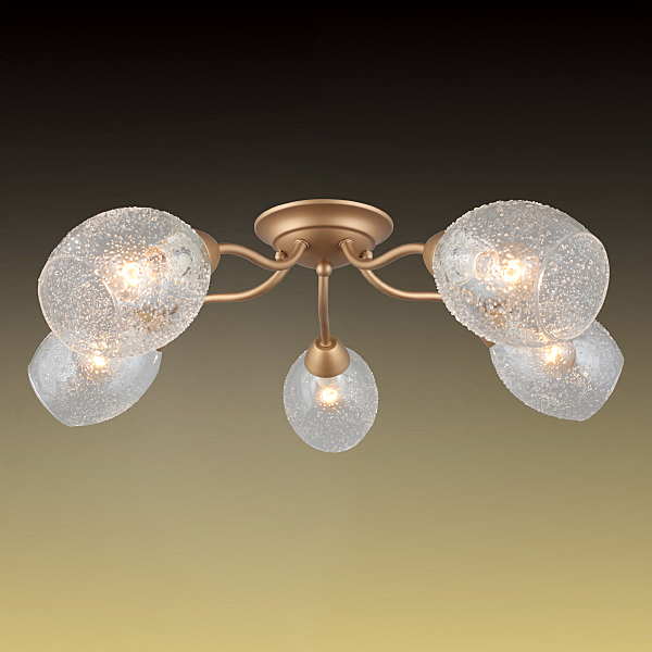 Потолочная люстра Miglionico OML-55507-05