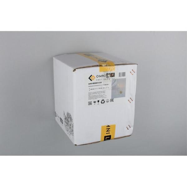 Настенное бра Ladispoli OML-89001-01