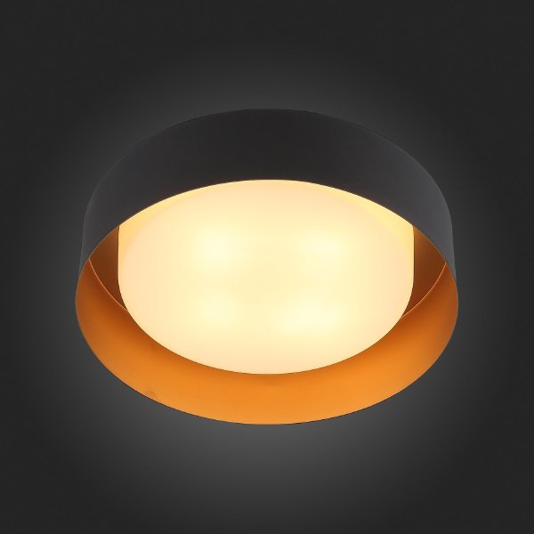 Светильник потолочный Chio SL392.422.04