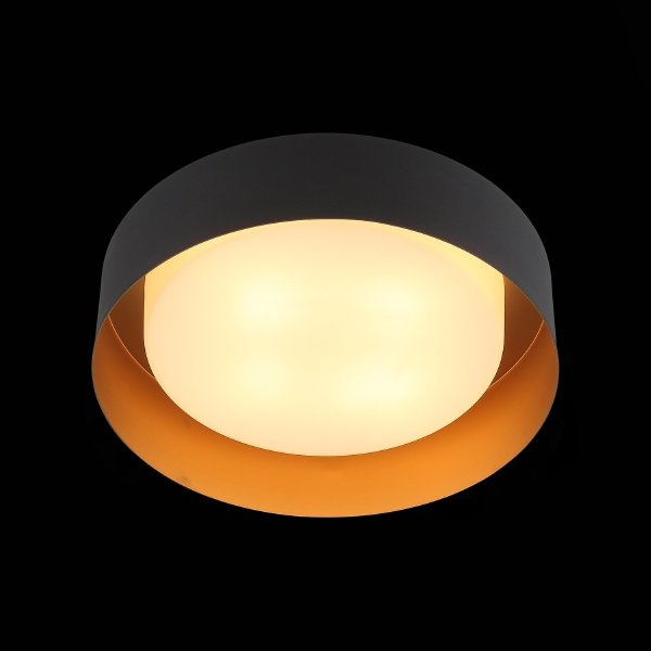 Светильник потолочный Chio SL392.422.04