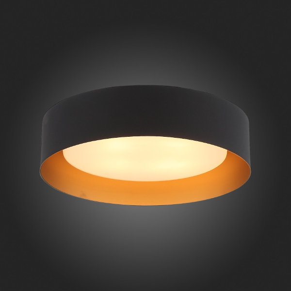 Светильник потолочный Chio SL392.422.04