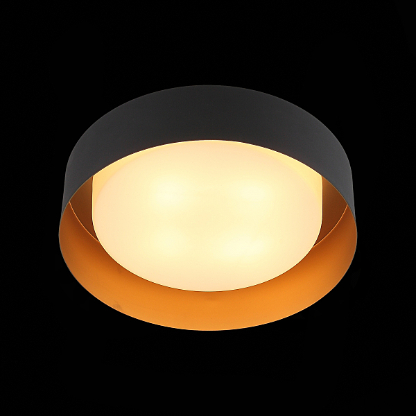 Светильник потолочный Chio SL392.422.04