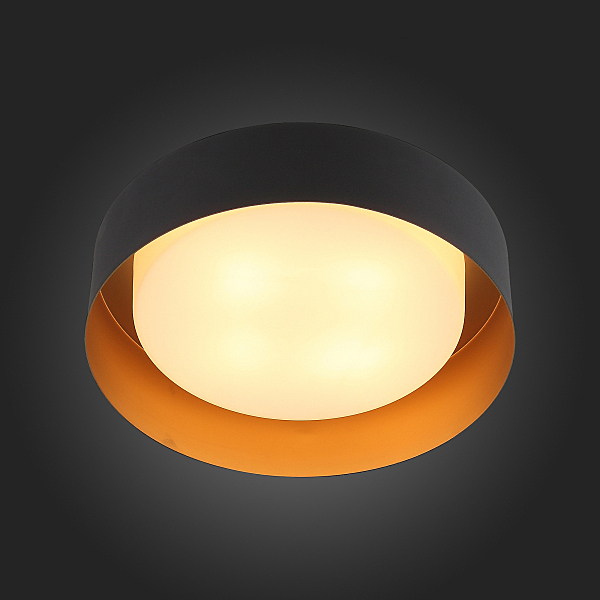 Светильник потолочный Chio SL392.422.04