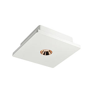 Накладной светильник Architect OL1072-WG/1