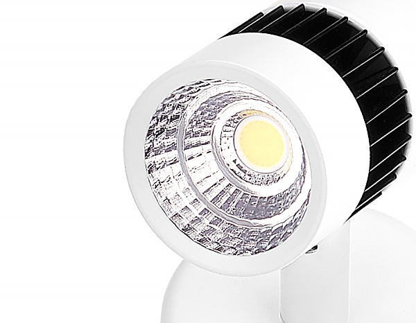 Светильник спот Led TN101/10W WH/BK
