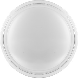 Светильник потолочный Feron 29735