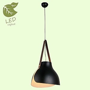 Светильник подвесной Lussole LOFT GRLSP-9842
