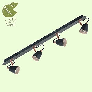 Светильник спот Lussole LOFT GRLSP-9854