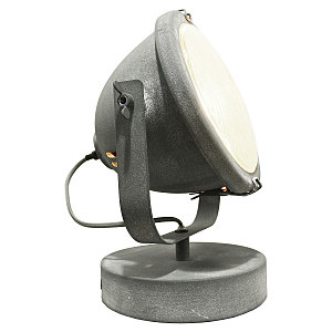 Светильник спот Lussole LOFT GRLSP-9880