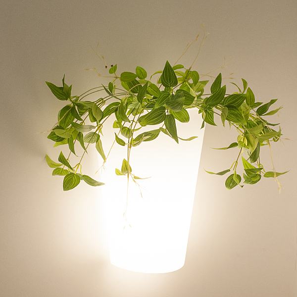 Уличный настенный светильник Teja 6508