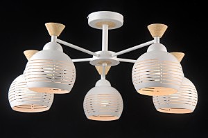 Потолочная люстра Stuttgart STUTTGART 81052-5C MATT WHITE