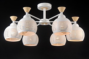 Потолочная люстра Stuttgart STUTTGART 81052-6C MATT WHITE