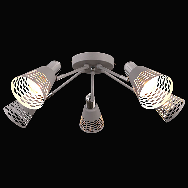 Потолочная люстра Vision VISION 75096/5C GRAY