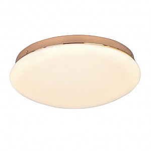 Светильник потолочный Ledante 2465-2C