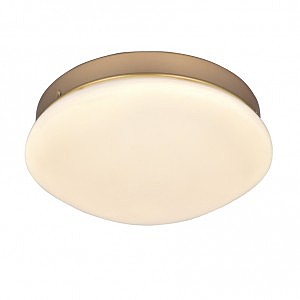 Светильник потолочный Ledante 2466-1C