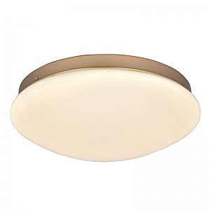 Светильник потолочный Ledante 2466-2C