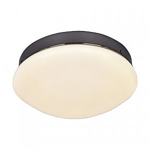 Светильник потолочный Ledante 2468-1C